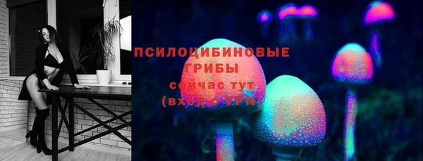 таблы Бородино