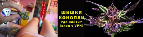 наркотики Белокуриха
