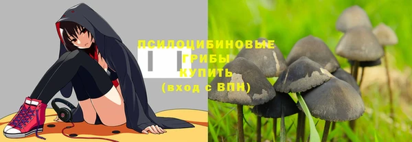 прущий лед Бронницы