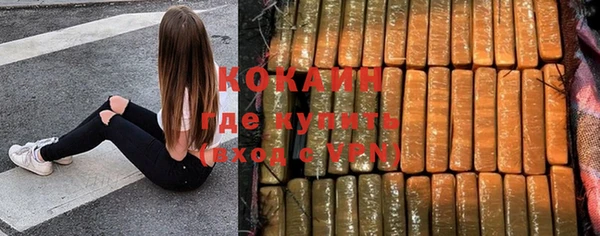 таблы Бородино