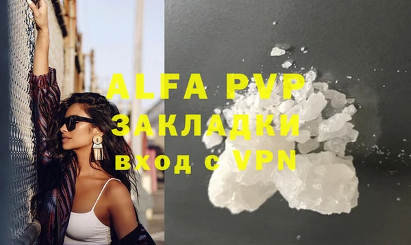 индика Сатка