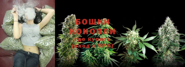 прущий лед Бронницы