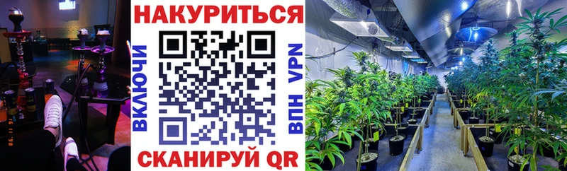 Бошки марихуана VHQ Горняк